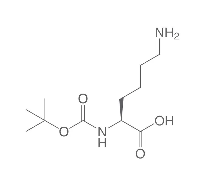 Boc-L-Lizină, PEPTIPURE®, min. 98 %, pentru biochimie, 1 g, sticlă — Carl Roth, cod 6926.1