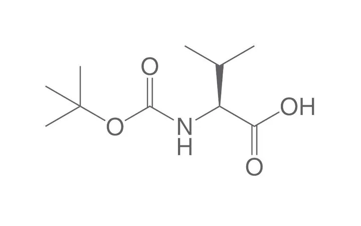 Boc-L-Valină, PEPTIPURE®, min. 98 %, pentru biochimie, 5 g, sticlă — Carl Roth, cod 6950.1