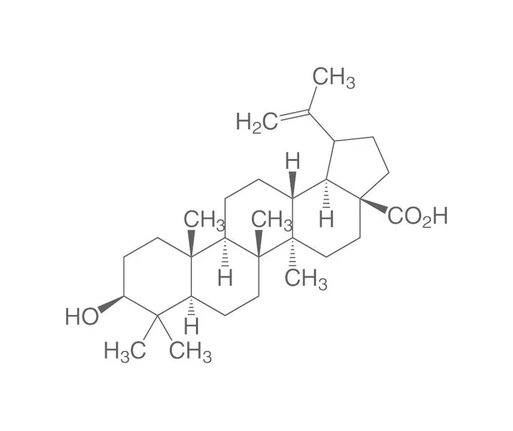 Acid betulinic, ROTICHROM® HPLC, 25 mg, sticlă — Carl Roth, cod 7007.1