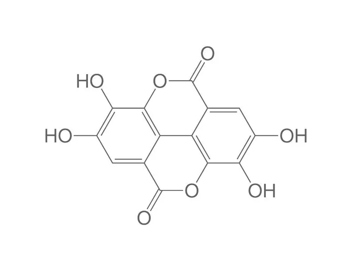 Acid elagic, min. 90 %, pentru biochimie, 5 g, sticlă — Carl Roth, cod 7263.1