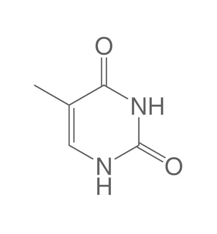 Timină, min. 99 %, pentru biochimie, 100 g, plastic — Carl Roth, cod 7289.3