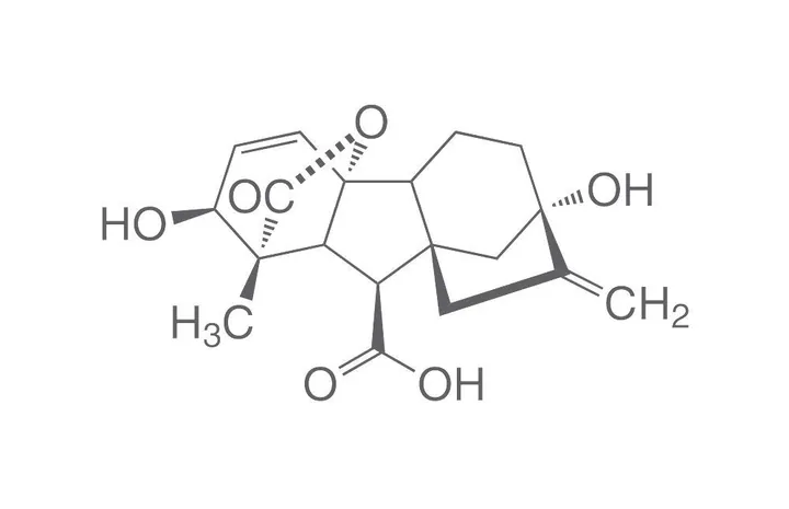 Acid giberelic, ROTICHROM® CHR, 1 g, sticlă — Carl Roth, cod 7464.2