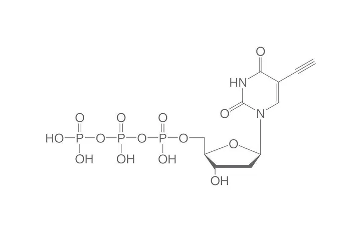 5-Etinil-dUTP, min. 95 %, 100 mM în apă, 50 µl, plastic — Carl Roth, cod 7802.3