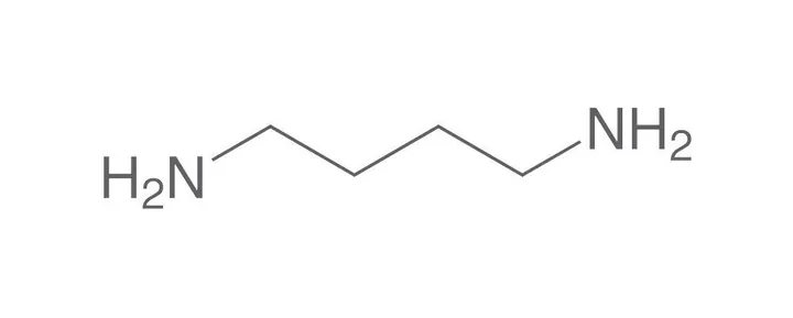 Putrescină, min. 99 %, pentru biochimie, 100 g, sticlă — Carl Roth, cod 8379.2