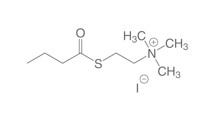 2-Butiriltiocoliniodid, min. 99 %, pentru biochimie, 1 g, sticlă — Carl Roth, cod 8452.1