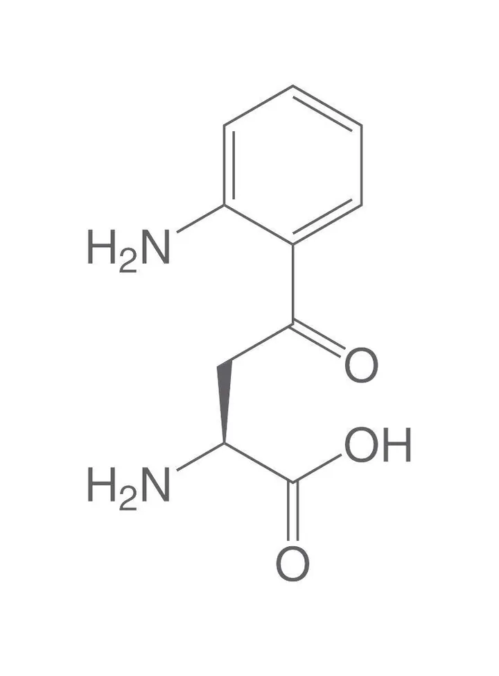 L-Kinurenină, min. 98 %, pentru biochimie, 250 mg, sticlă — Carl Roth, cod 8456.2