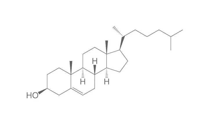 Colesterol, min. 95 %, Ph.Eur., pentru biochimie, 25 g, plastic — Carl Roth, cod 8866.2