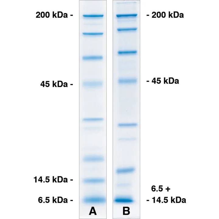 ROTIPHORESE®PAGE Matrix Buffer plus, 4x tampon matrice SDS-PAGE, 250 ml, plastic — Carl Roth, cod 8996.1