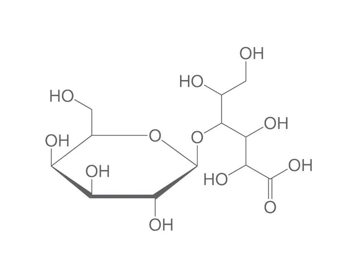 Acid lactobionic, min. 97 %, 10 g, plastic — Carl Roth, cod 9242.1