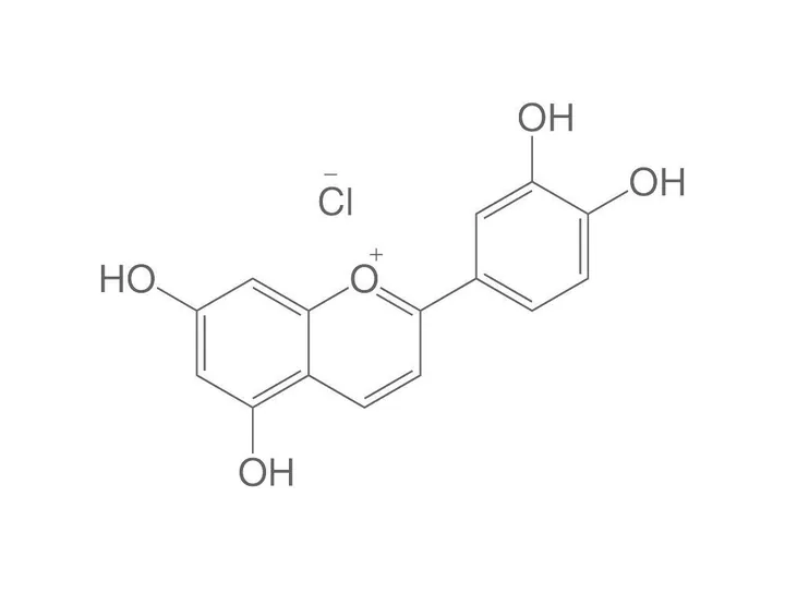 Clorură de luteolinidină, ROTICHROM® HPLC, 10 mg, plastic — Carl Roth, cod 9325.1