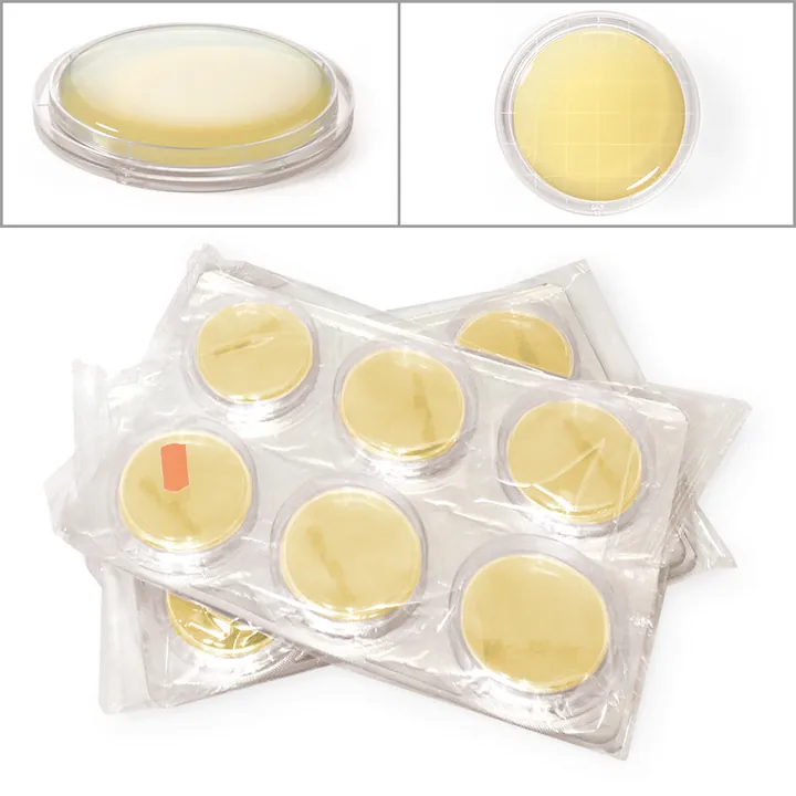 ROTI®ContiPlate TSA-Letheen, gata de utilizare, steril, pentru microbiologie, 30 bucăți — Carl Roth, cod 9634.1