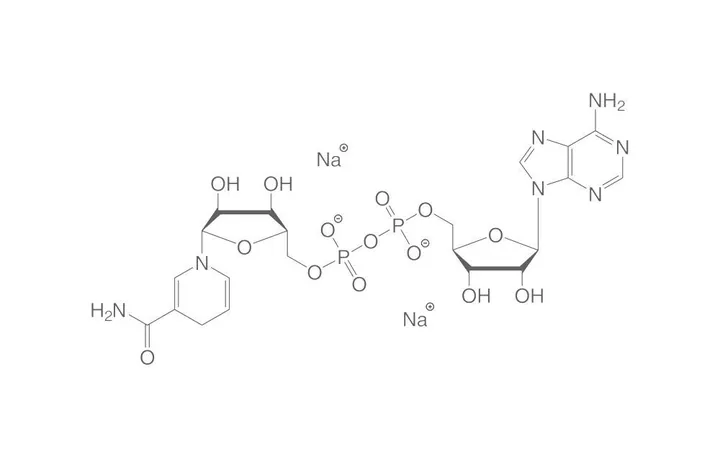 Sare disodică de NADH, pentru biochimie, 10 g, sticlă — Carl Roth, cod AE12.3