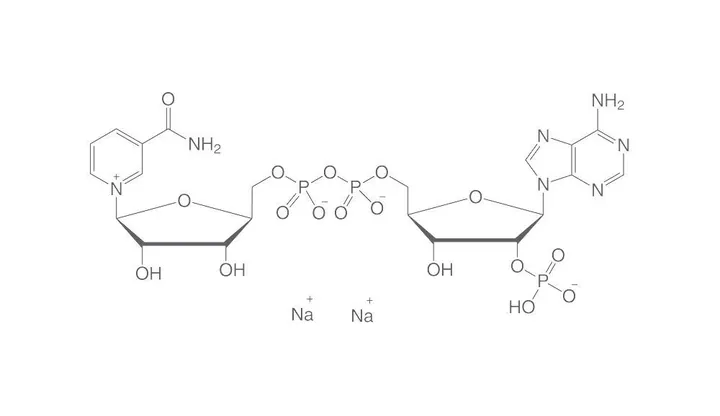 Sare disodică de NADP, min. 98 %, pentru biochimie, 500 mg, sticlă — Carl Roth, cod AE13.2