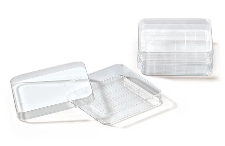 Cutii Petri pătrate cu grilă, PS, L 100 x l 100 x H 15 mm, vol. 110 ml — Carl Roth, cod AEL9.1