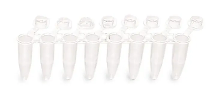 Flacoane de reacție PCR Rotilabo®-8-strip, stripuri PCR, capace individuale plate atașabile — Carl Roth, cod CEN5.1