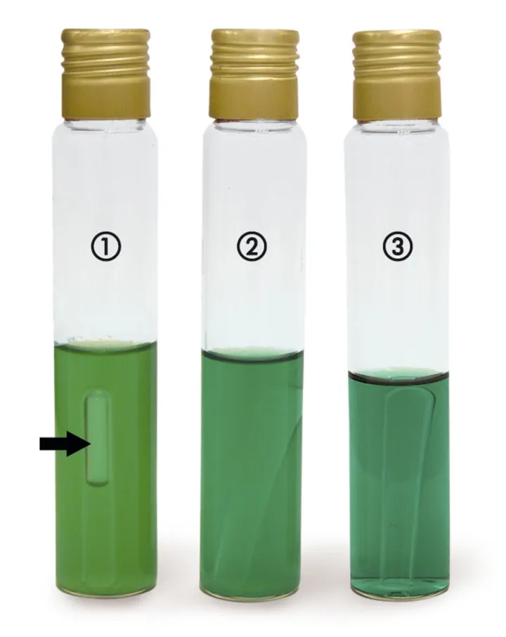 Bulion Bilă Verde Briliant, DIN 10172, ISO 4832, ISO 11133, 500 g, plastic — Carl Roth, cod CL06.1
