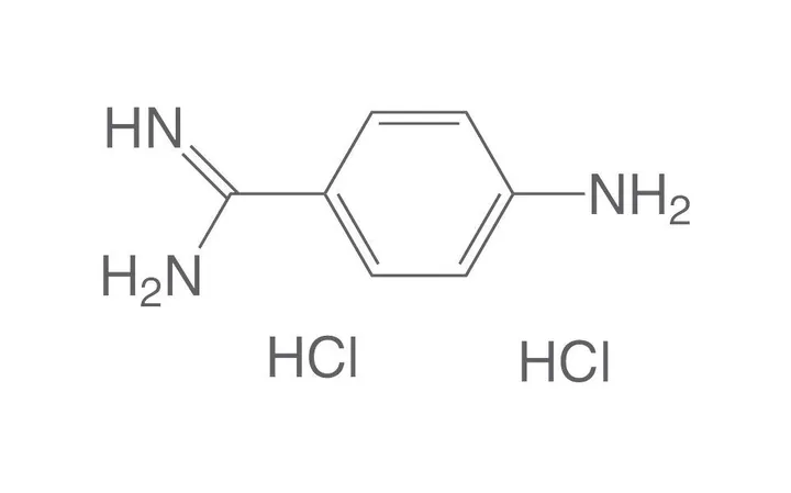 Diclorhidrat de 4-aminobenzamidină, min. 98 %, pentru biochimie, 10 g, plastic — Carl Roth, cod CN71.3