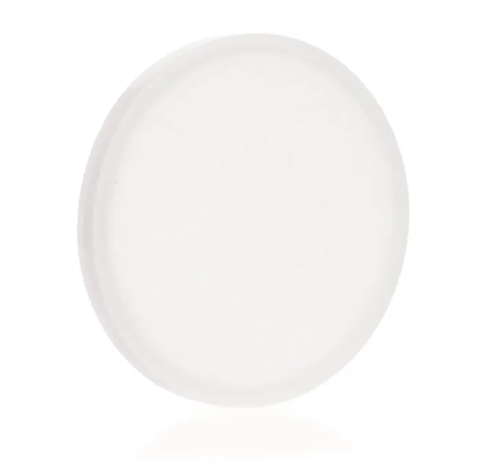 Placă filtrantă, pentru unitate de 1000 ml, Ø 90 mm, porozitate 2, 40 - 100 µm, 1 bucată — Carl Roth, cod CT10.1