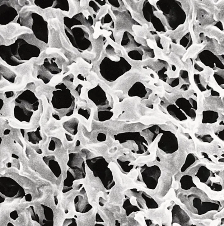 Filtre cu membrană PVDF, hidrofobe, Ø 13 mm, dimensiune pori 0.22 µm, 100 buc. — Carl Roth, cod CX32.1