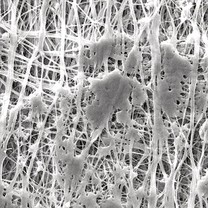 Filtre cu membrană PTFE cu structură de suport laminată, Ø 25mm, dimensiune pori 1.0µm — Carl Roth, cod CX53.1