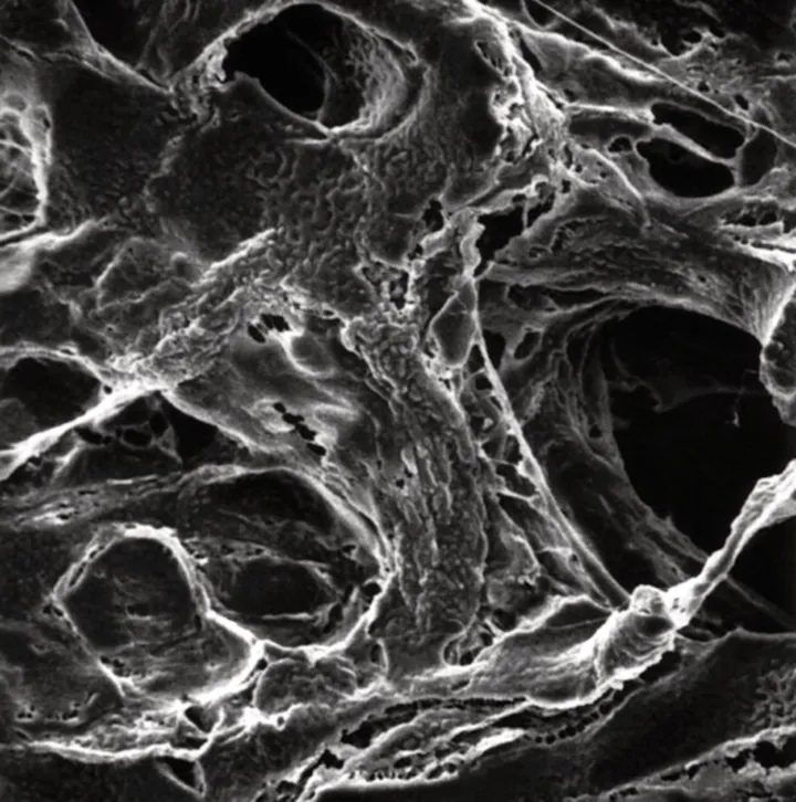 Filtre cu membrană PTFE fără structură de suport, Ø 90 mm, dimensiune pori 5.0 µm — Carl Roth, cod CX62.1