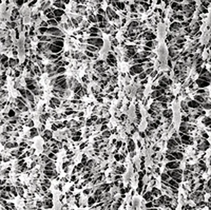 Filtre cu membrană PTFE, hidrofile, Ø 47 mm, dimensiune pori 0.45 µm, 100 buc. — Carl Roth, cod CX69.1