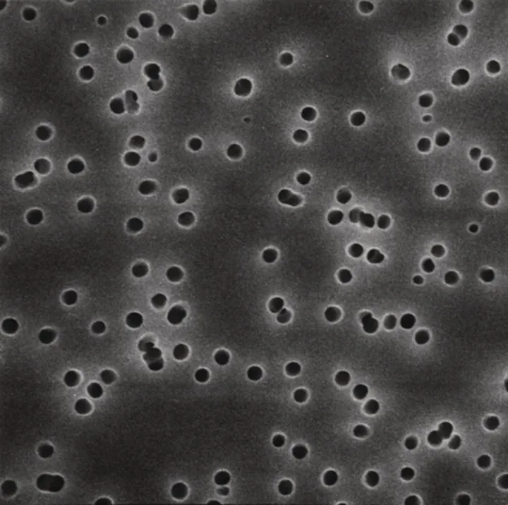 Filtre cu membrană din policarbonat, negre, Ø 13 mm, dimensiune pori 0.4 µm, 100 bucăți — Carl Roth, cod CY32.1