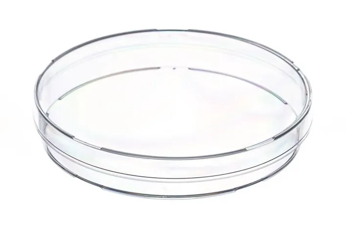 Cutii Petri, nesterile, fără camă de ventilație, Ø 94 mm, H16 mm, 480 buc. — Carl Roth, cod EL45.1