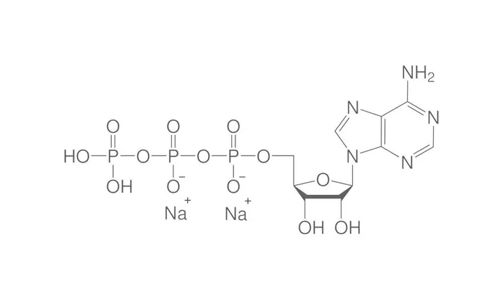 Sare disodică a adenozin-5'-trifosfatului, (ATP), min. 95 %, pentru biochimie, 5 g — Carl Roth, cod HN35.1