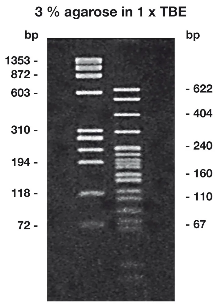 Agaroză LM/PCR ROTI®Garose, Punct de topire scăzut, calitate pentru inginerie genetică, 5 g, plastic — Carl Roth, cod HP31.1