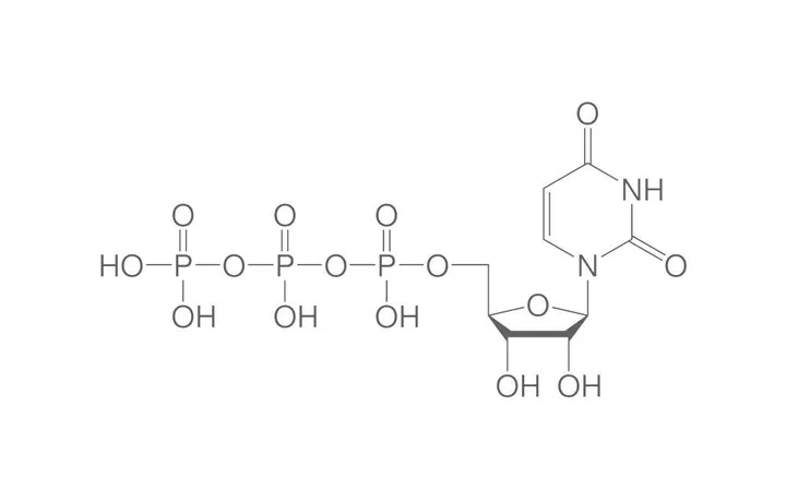 UTP, min. 90 %, liofilizat, 1 g, plastic — Carl Roth, cod K055.3