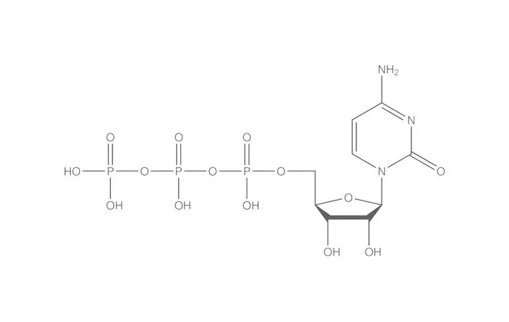 CTP, min. 98 %, liofilizat, 100 mg, plastic — Carl Roth, cod K057.1