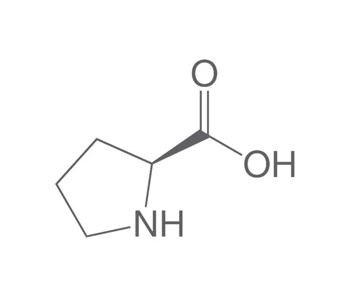 L-Prolină, min. 98.5 %, Ph.Eur., pentru biochimie, 25 g, plastic — Carl Roth, cod T205.1