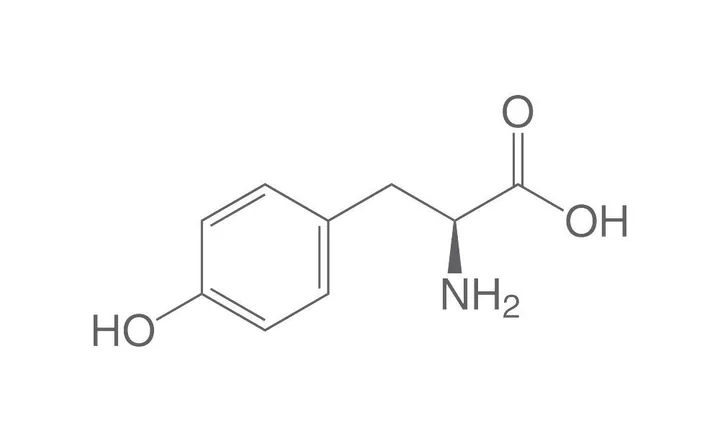 L-Tirozină, min. 99 %, Ph.Eur., pentru biochimie, 100 g, plastic — Carl Roth, cod T207.2