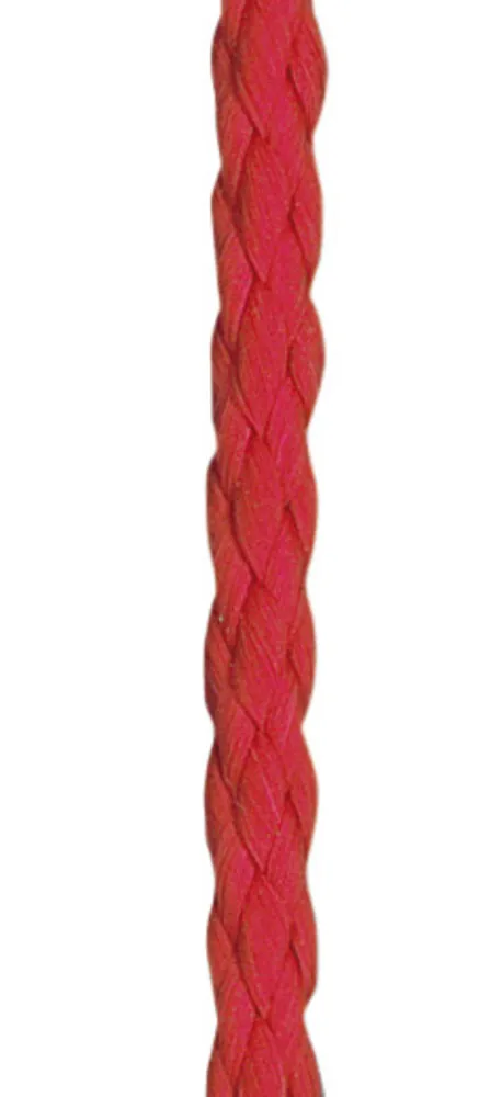 Sfoară de coborâre/ridicare pentru sticle de imersie, PP, Ø 2.3 mm, L 10 m, 1 buc. — Carl Roth, cod T272.1