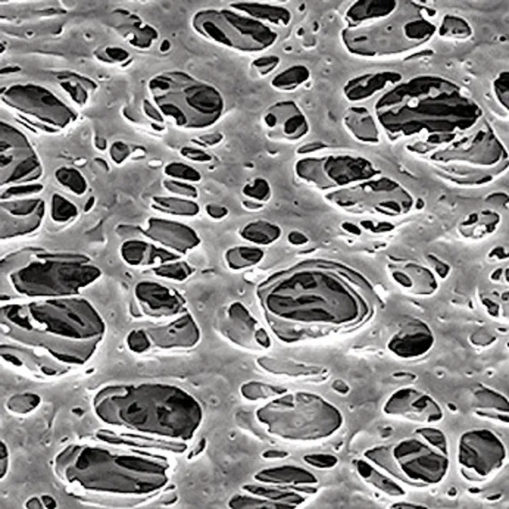 Filtru cu membrană PES, alb/neted, Ø 142 mm, dimensiune pori 0.45µm, 50 bucăți — Carl Roth, cod XA47.1