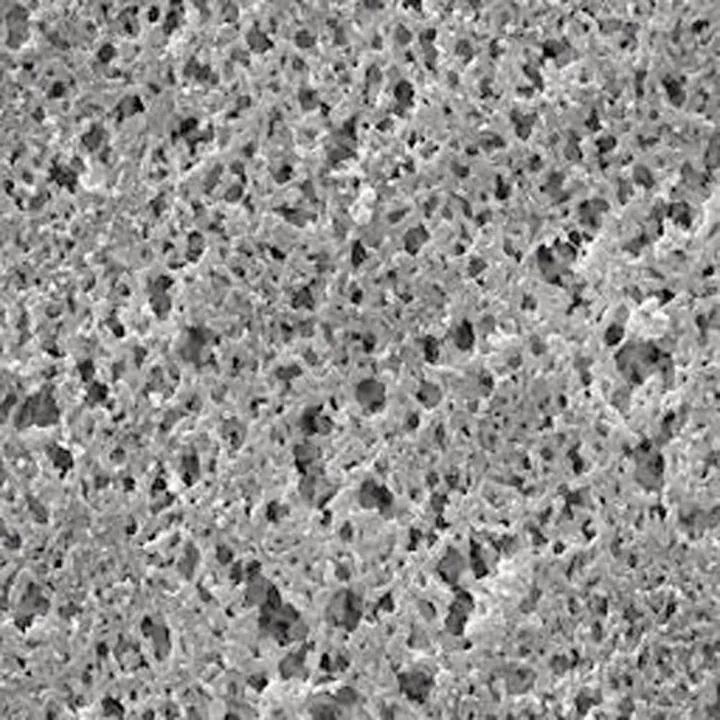 Filtru cu membrană de nailon, dimensiune pori 0,45 µm, membrană Ø 25 mm, 100 bucăți — Carl Roth, cod XA50.1
