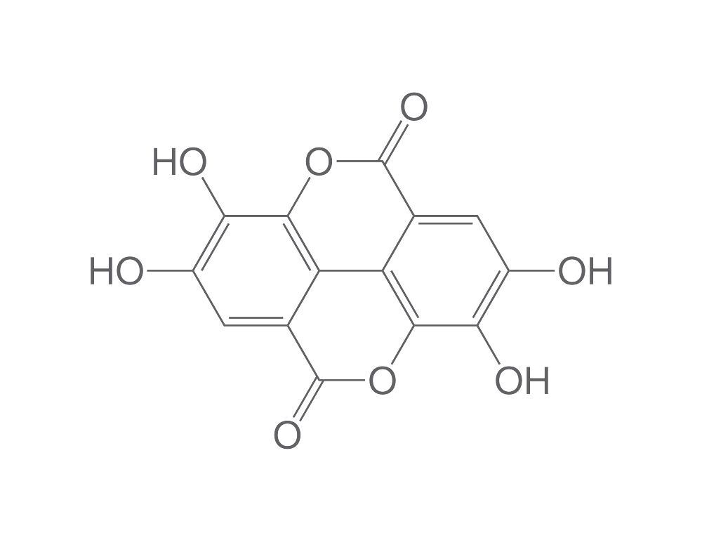 Ellagic acid, min. 90 %, for biochemistry, 5 g, glass