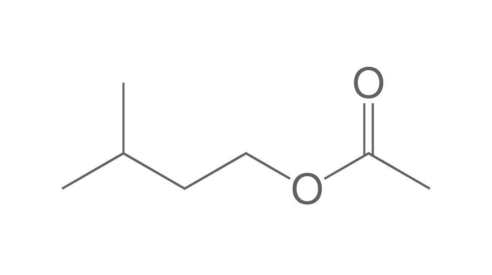 Acetic acid isoamyl ester, min. 98 %, extra pure, 10 l, tinplate — Carl Roth, cod 7341.2