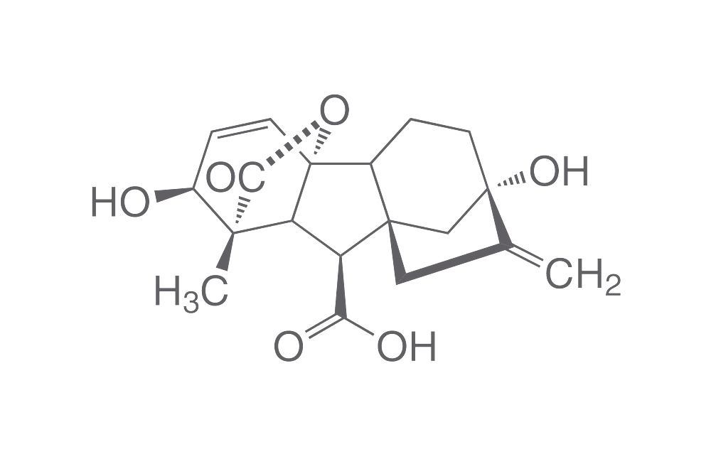Gibberellic acid, ROTICHROM® CHR, 1 g, glass