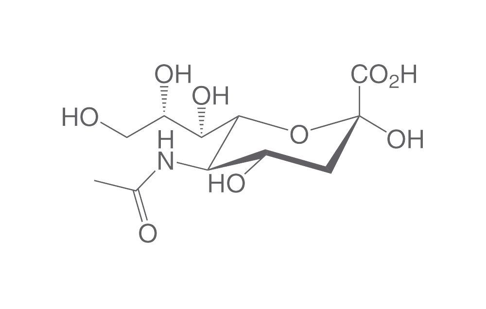 N-Acetylneuraminic acid, min. 98 %, for biochemistry, 1 g, glass