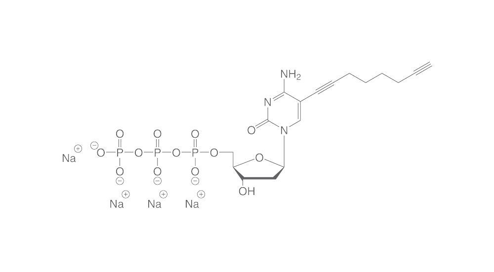 C8-Alkyne-dCTP, min. 99 %, 100 nM in water, 50 µl, plastic