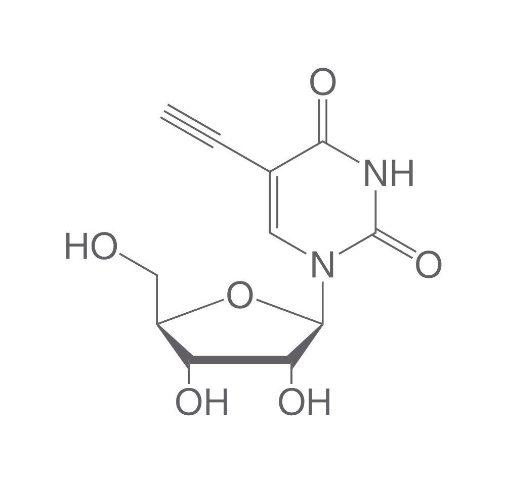 5-Ethynyl uridine, min. 98 %, 10 mg, plastic
