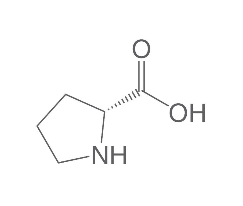 D-Proline, min. 98,5 %, for biochemistry, 5 g, plastic