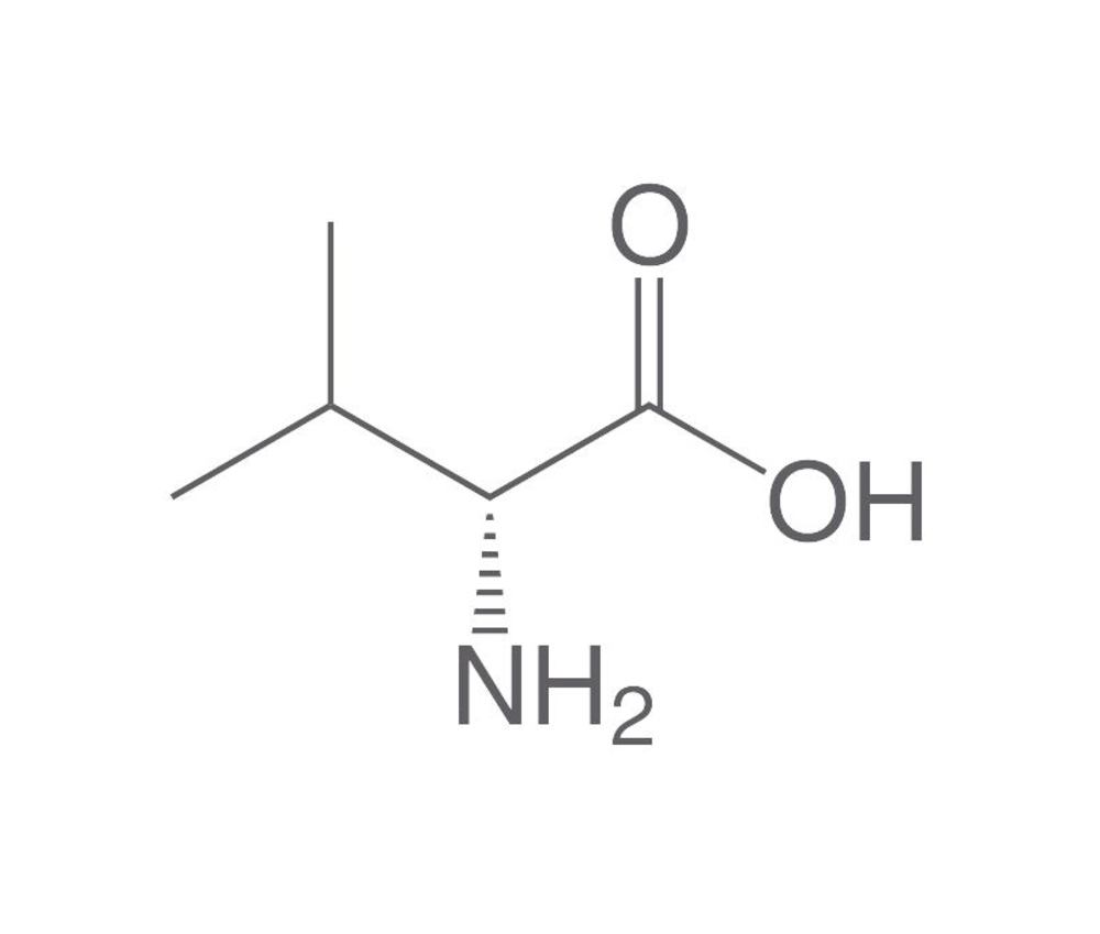 D-Valine, min. 98.5 %, for biochemistry, 25 g, plastic