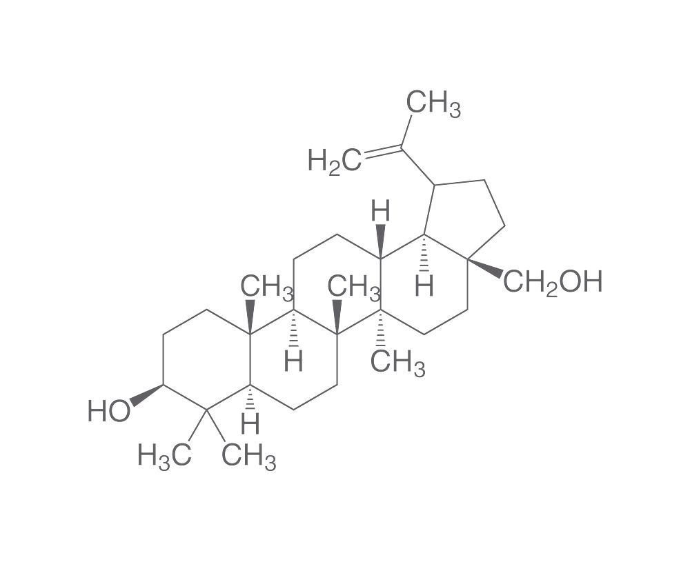 Betulin, ROTICHROM®  CHR, 1 g, glass