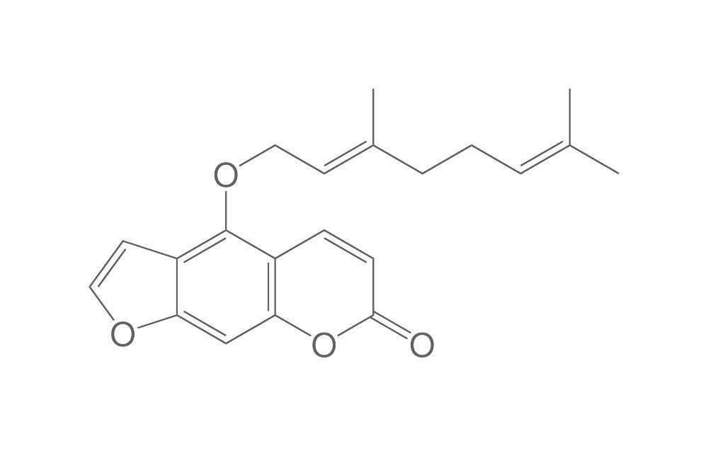 Bergamottin, ROTICHROM® HPLC, 25 mg, glass