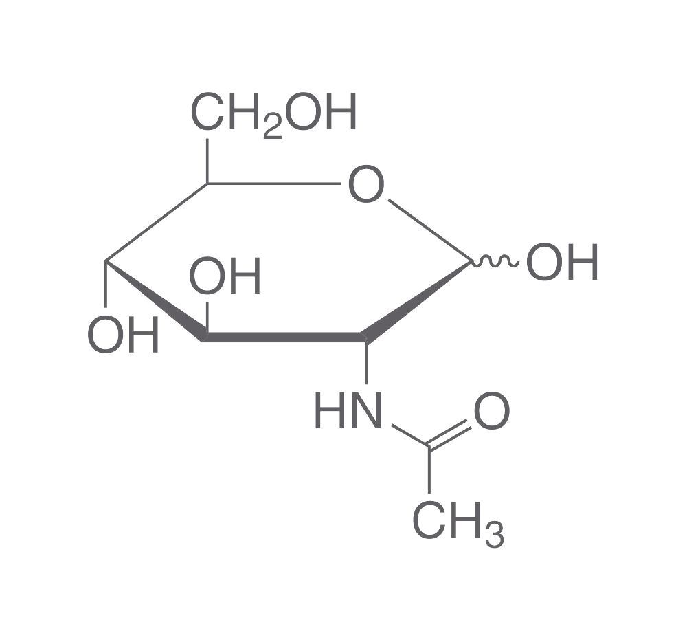 N-Acetyl-D-glucosamine, min. 98 %, for biochemistry, 5 g, plastic