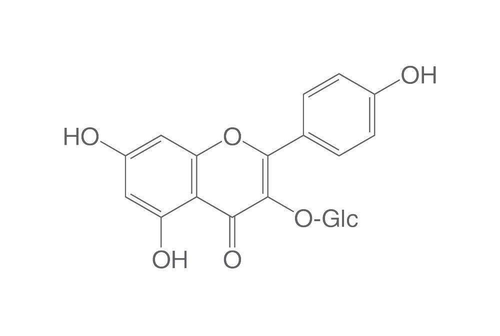 Kaempferol-3-glucoside, ROTICHROM® HPLC, 5 mg, glass