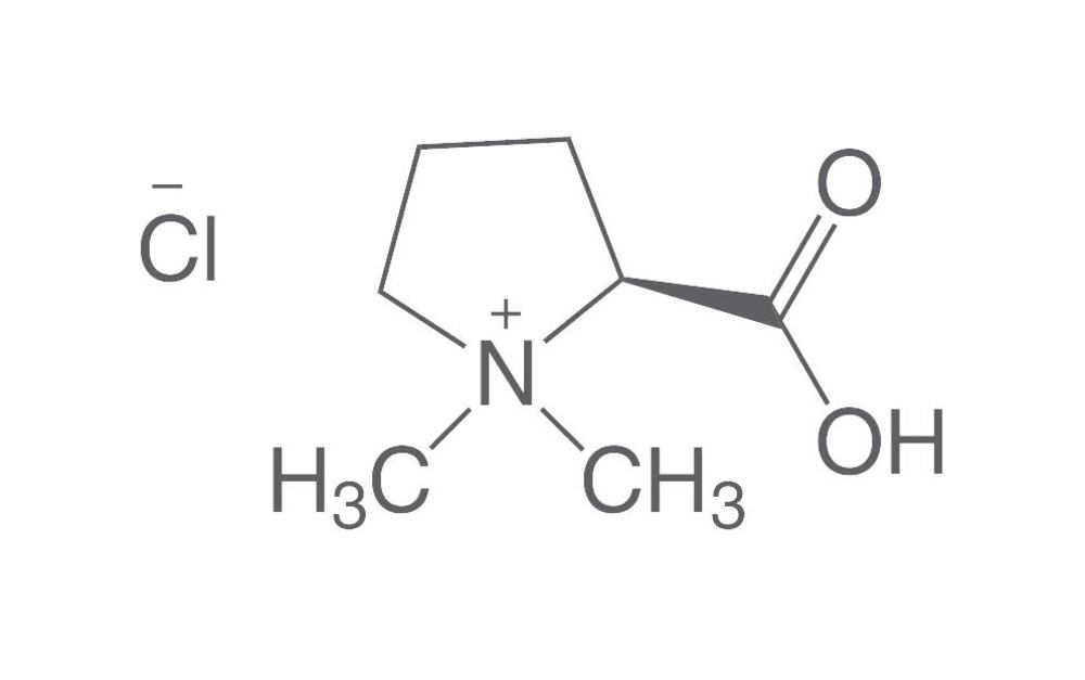 Stachydrine hydrochloride, 20 mg, glass